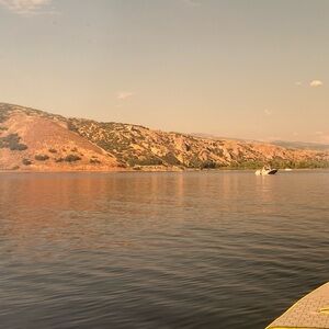 Meet your Posher, Reece